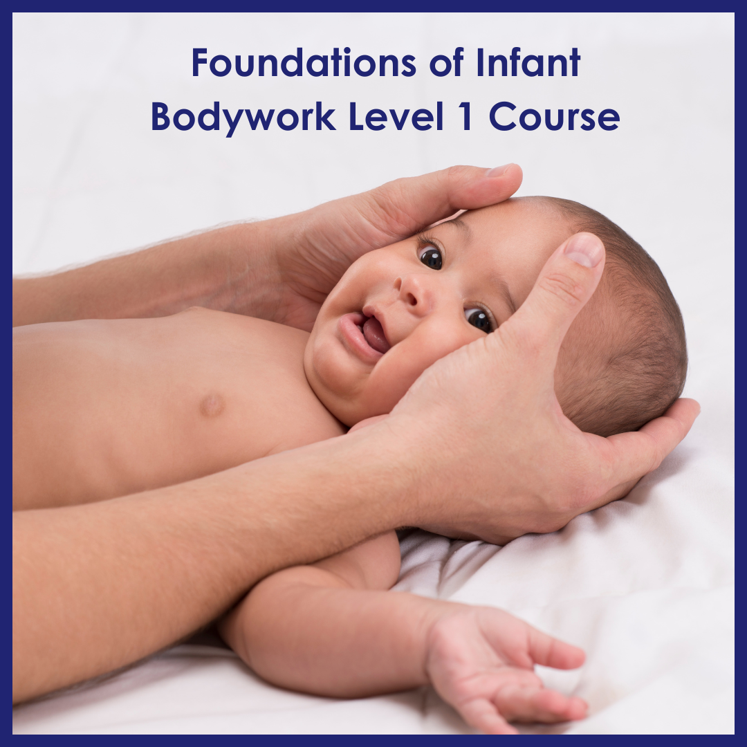 Foundations of Infant Bodywork Level 1 : Supporting Feeding and Mobility in Pediatric Care